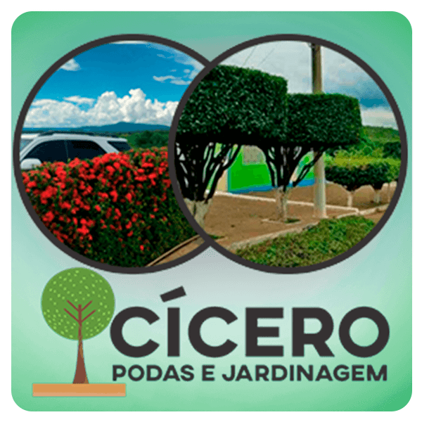CÍCERO